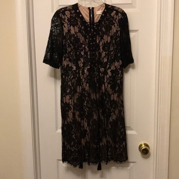 Love Tree Dresses & Skirts - Lace overlay dress